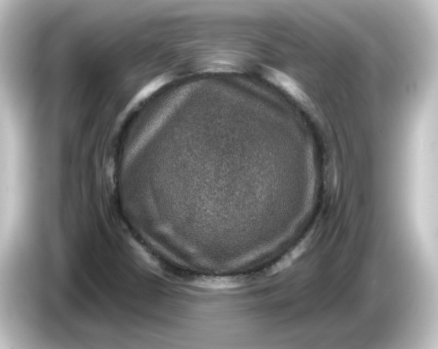 X0000084571402200703161714