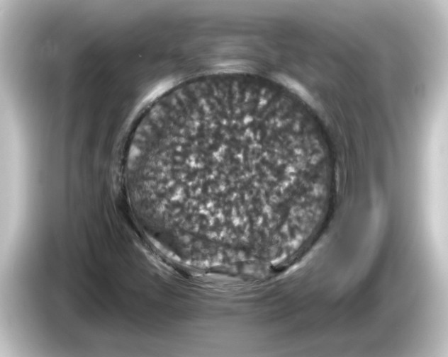 X0000084571405200703161714