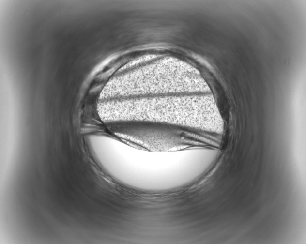 X0000084571406200703161714