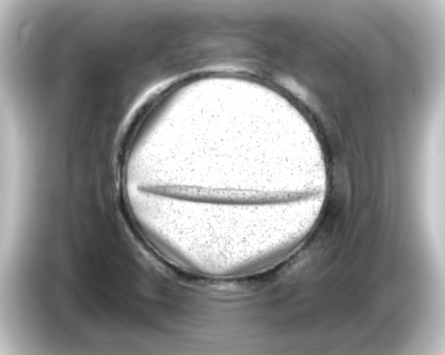 X0000084571408200703161714