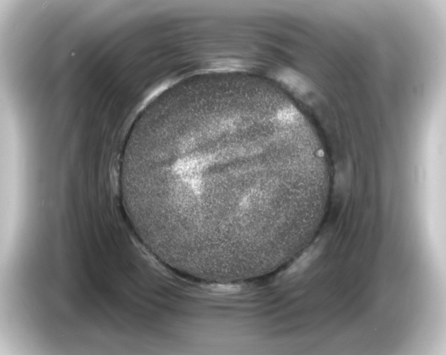 X0000084571409200703161714