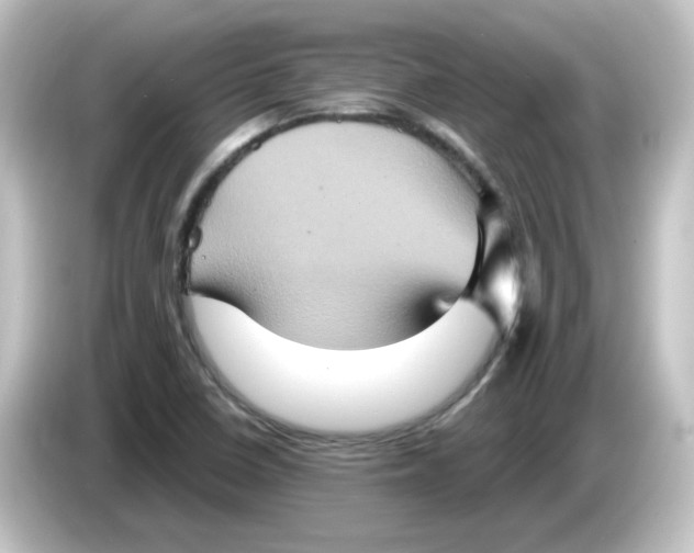 X0000084571410200703161714
