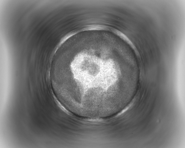 X0000084571417200703161714
