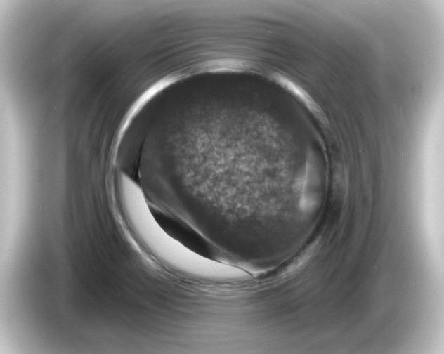 X0000084571418200703161714