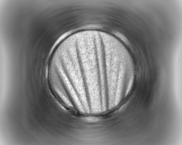 X0000084571420200703161714