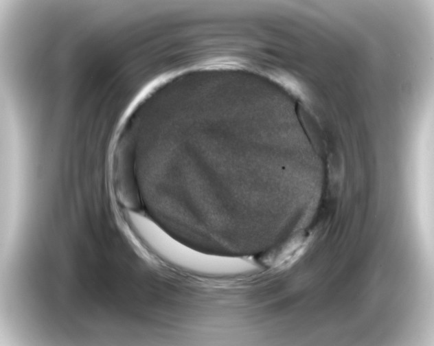 X0000084571422200703161714