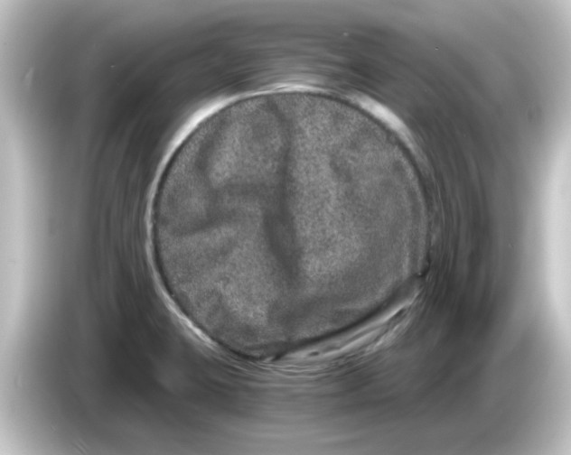 X0000084571423200703161714