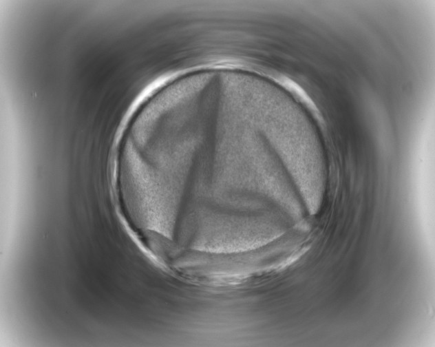 X0000084571424200703161714