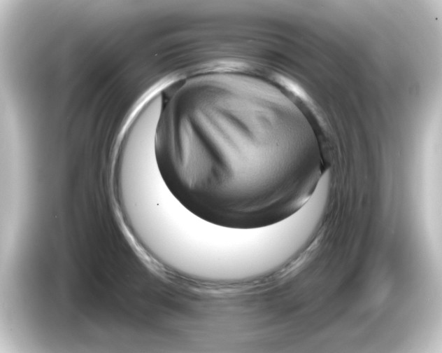 X0000084571426200703161714