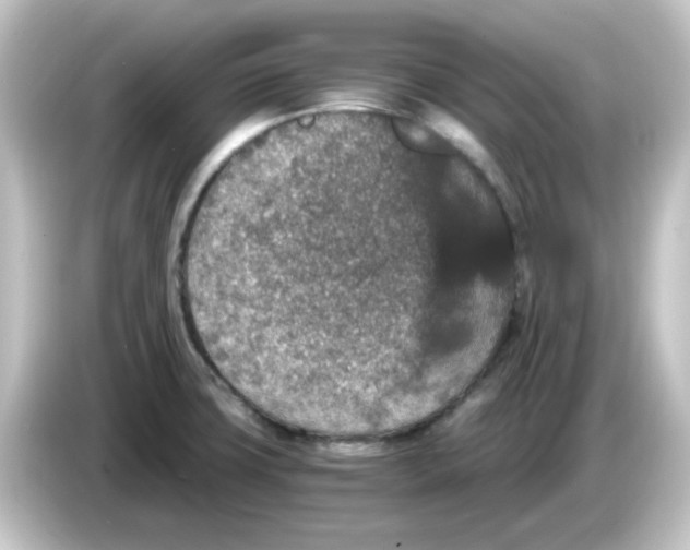 X0000084571427200703161714
