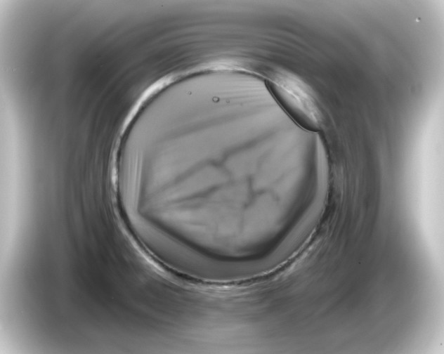 X0000084571428200703161714