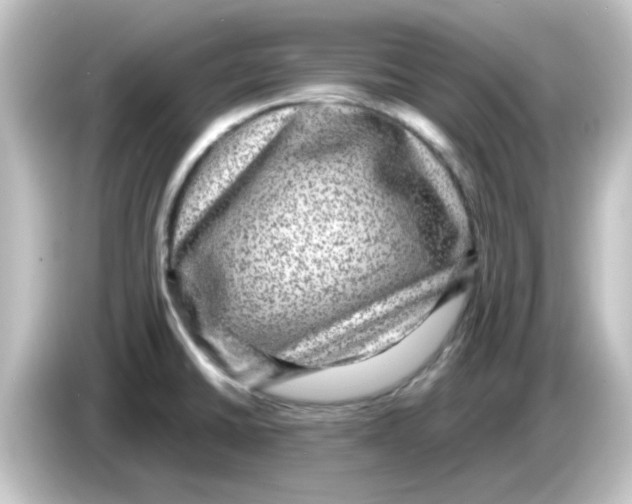 X0000084571430200703161714