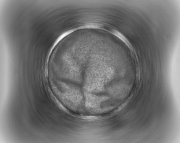 X0000084571436200703161714