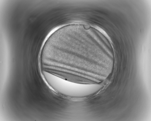 X0000084571440200703161714