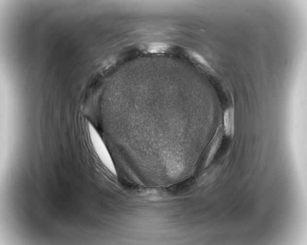 X0000084571443200703161714