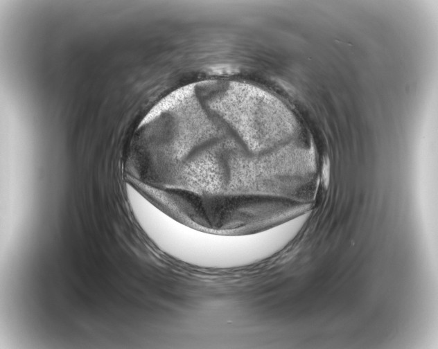 X0000084571444200703161714