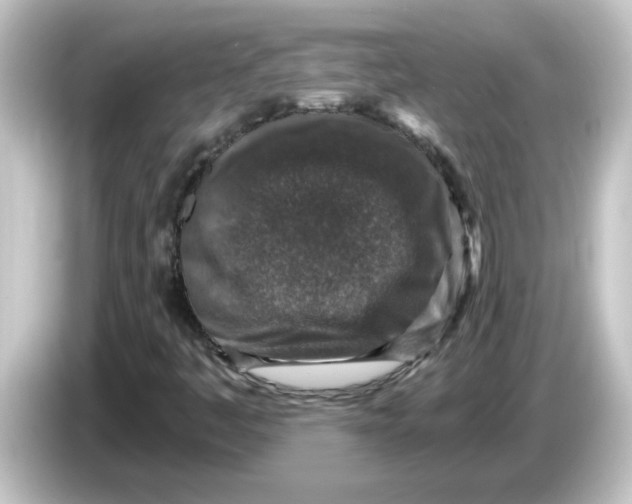 X0000084571445200703161714