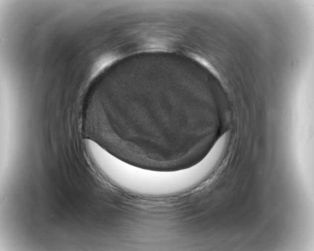 X0000084571450200703161714