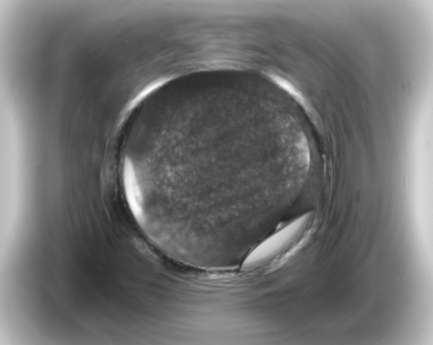 X0000084571453200703161713