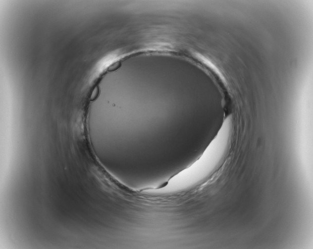X0000084571455200703161713
