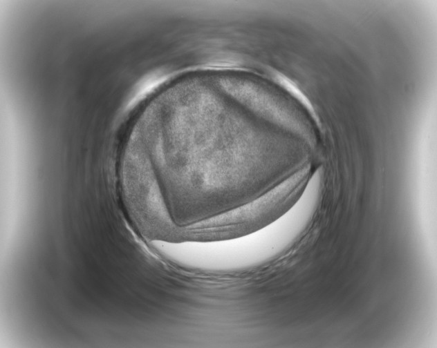 X0000084571456200703161713