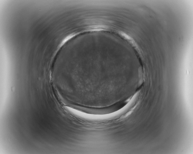 X0000084571457200703161713