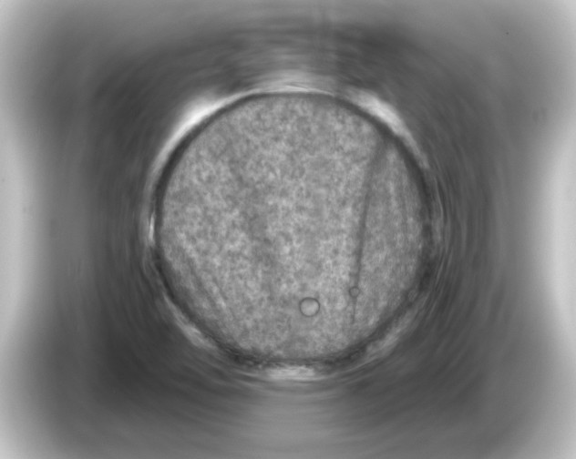 X0000084571462200703161713
