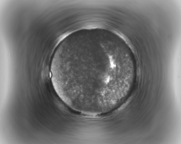 X0000084571465200703161713