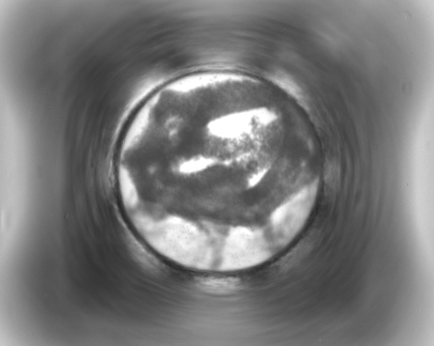 X0000084571466200703161713