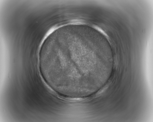 X0000084571467200703161713