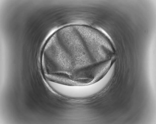X0000084571468200703161713