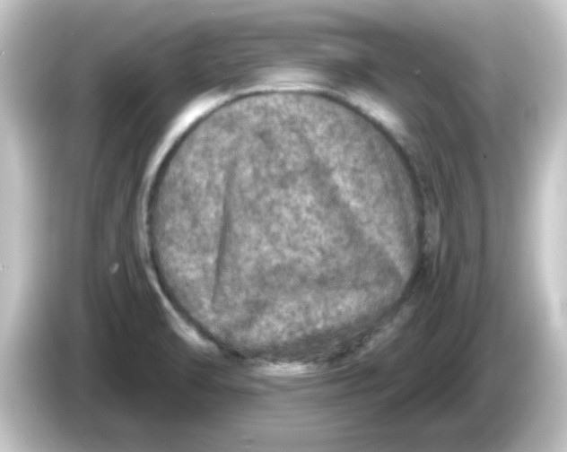 X0000084571470200703161713