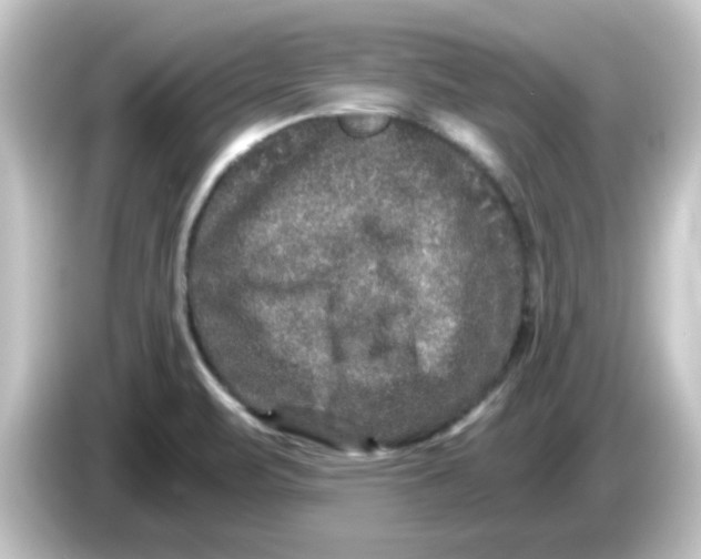 X0000084571471200703161713