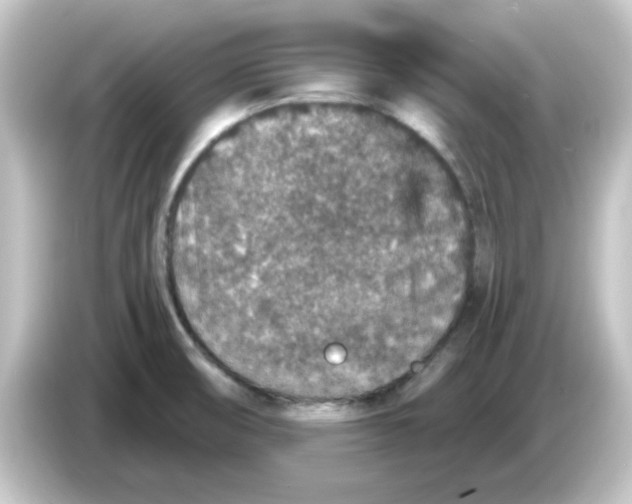X0000084571474200703161713