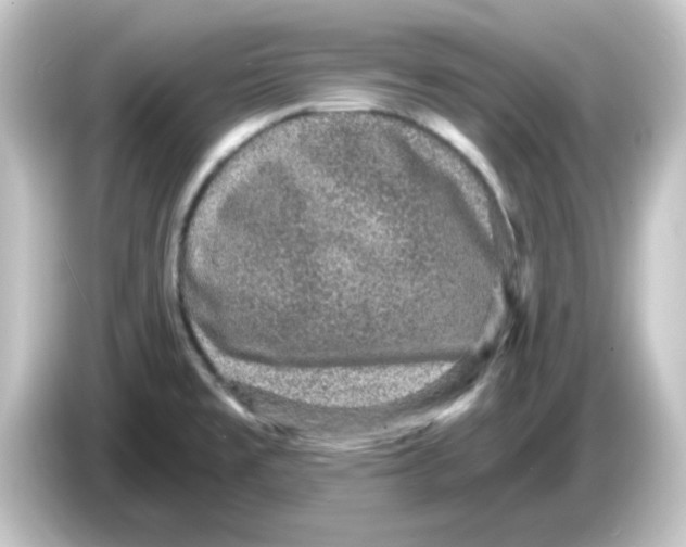 X0000084571477200703161713