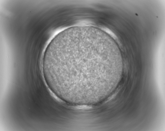 X0000084571478200703161713