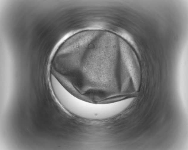 X0000084571480200703161713