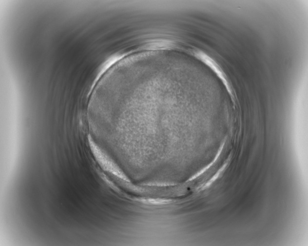 X0000084571481200703161713