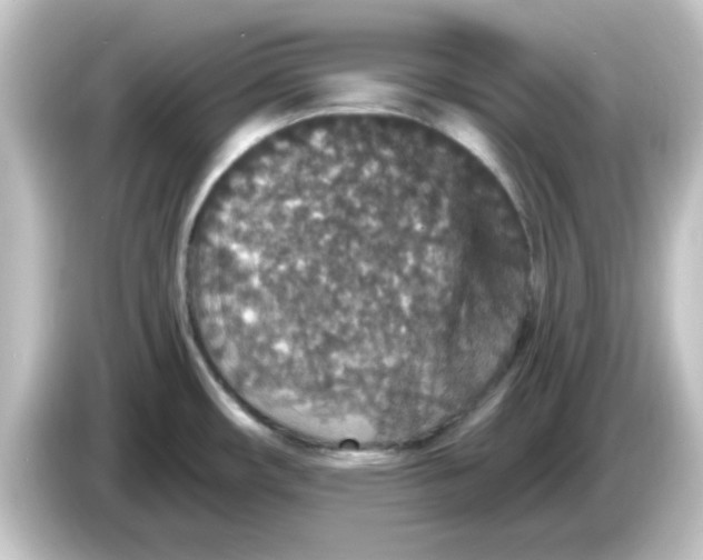X0000084571482200703161713