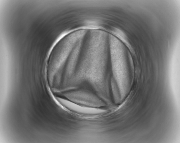 X0000084571484200703161713