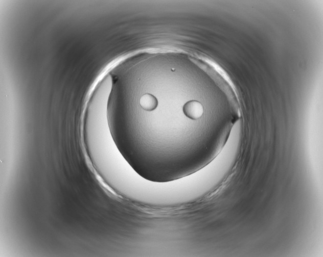 X0000084571485200703161713