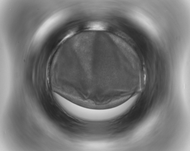 X0000084571487200703161713