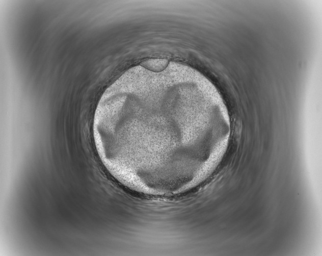 X0000084571489200703161713