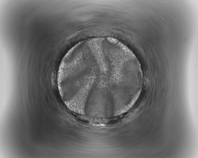 X0000084571490200703161713