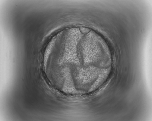 X0000084571494200703161713