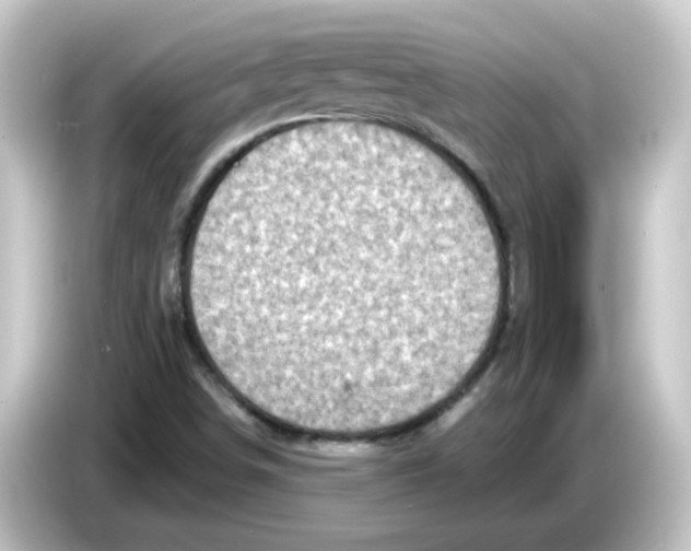 X0000084571498200703161713