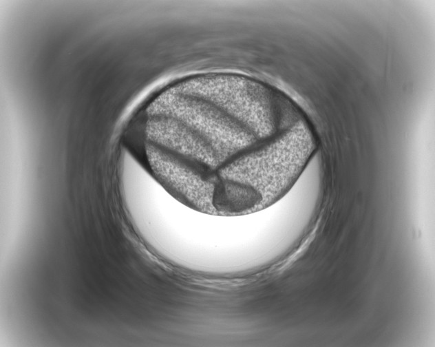 X0000084571502200703161713