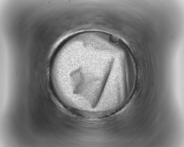 X0000084571503200703161713