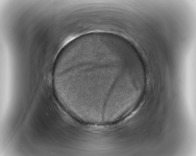 X0000084571505200703161713
