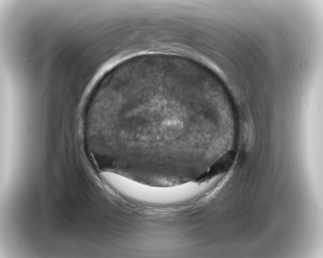 X0000084571506200703161713